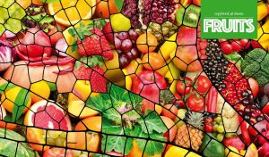 Fruit mix collage on dragonfly wing wall art cells