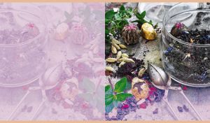 Tea Collection | Still Life of Tea Infusions & Aromatic Blends