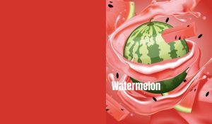Vector drawn watermelon in juicy splashes on a light red backdrop