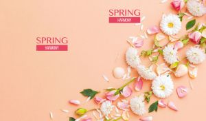 Spring Harmony | Floral Art on Pastel and Texture