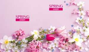 Floral arrangement with tulips, daffodils, hyacinths on pastel purple