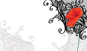 Lace & Flowers | Delicate Blossoms and Stencil Designs on White