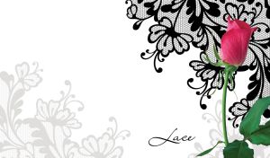 Elegant pink rose bud against a black stencil lace pattern on a white backdrop