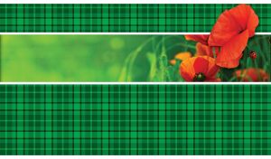 Ladybug on red poppies in green grass appears in the middle of a green plaid