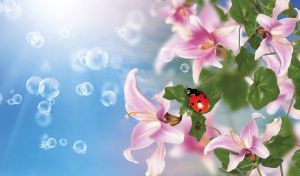 Closeup of a ladybug on a pastel purple lily vine on a blue bubble background