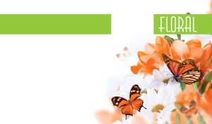 Butterflies sit on the delicate white daisies and pastel orange orchids on white