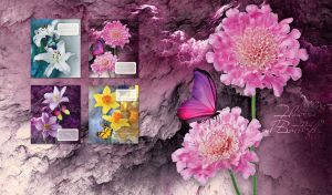 Butterfly on white scabiose against a canvas with an abstract purple sky