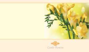 Gentle yellow freesias on pastel yellow bokeh and a pastel yellow-beige backdrop