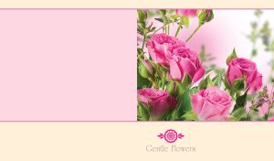 Gentle pink roses on pastel pink and a pastel yellow-beige backdrop
