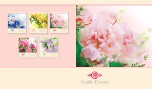 Gentle light pink peonies on pastel pink and a pastel yellow-beige backdrop