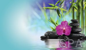 A delicate purple vanda orchid lies on the light black stacked spa stones