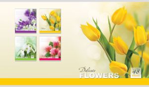 Delicate yellow tulips on a blurred yellow to pastel white gradient
