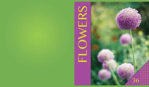 Live Flowers | Close-Ups of Floral Vistas on Green Backdrops