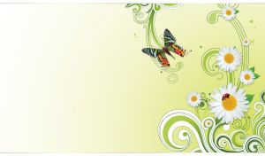 Floral pattern with chamomiles and butterfly on a pastel white-green gradient