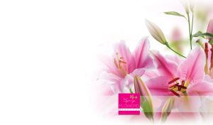 Beautiful Spring Flowers | Blossoms on White Vignettes