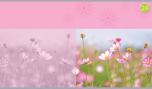 Wildflower meadow with cosmos flowers on a light pink floral background