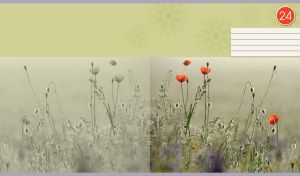 Wildflower meadow with red poppies on a light olive floral background