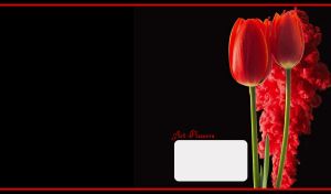 Red tulip flower art against a red ink cloud on black