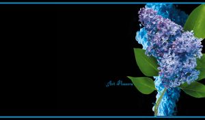 Violet lilac flower art against a light blue ink cloud on black