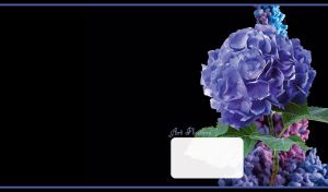 Purple hydrangea flower art against a purple-blue ink cloud on black