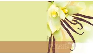 Delicate vanilla flowers closeup on a pastel purple-pink background