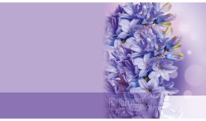 Delicate hyacinth flowers closeup on a pastel violet background