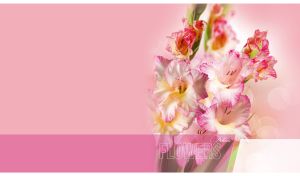 Delicate gladiolus flowers closeup on a pastel pink background