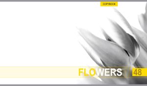 Monochrome Flowers | Blossom Close-ups in Black & White