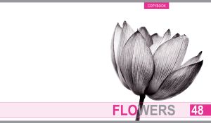 Black and white closeup of a lotus flower on a white background