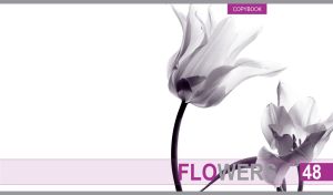 Black and white closeup of garden tulips on a white background