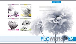 Black and white closeup of dahlia flowers on a white background