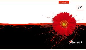 Striking Petals | Single-Head Flowers on a Black & White Canvas