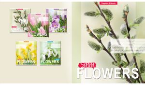 Fluffy pussy willows close-up on a pastel olive green blurred background