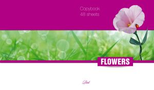 Chic pink Confederate rose and a ladybug on fuchsia, green and white backgrounds