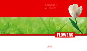 Delicate white tulip and a ladybug on red, green and white backgrounds