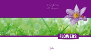 Silky violet leather flower and a ladybug on purple, green and white backgrounds