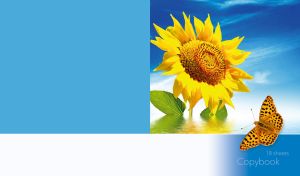 Flowers and Butterflies | Nature's Grace Against Blue Skies