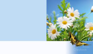 White daisies and a swallowtail butterfly against a clear light blue sky