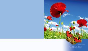 Poppies and a peacock butterfly against a clear blue sky