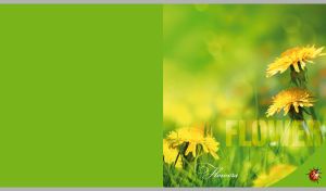 Flowers & Ladybug | Blossoms & Blooms in Dreamy Monochrome