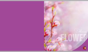 Spring cherry blossom on twigs against a blurry purple backdrop