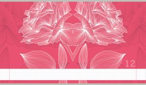 Beautiful hydrangea flowers with a symmetrical outline on a fuchsia backdrop