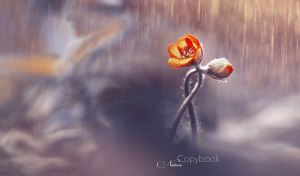 Soft focus view of twisted flowers in the rain on a purple tonal background