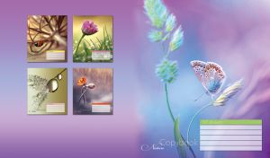 Close-up view of a butterfly on a spikelet on a purple-blue tonal background