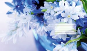 Flower Collection | Macro Blooms in Full Page Glory