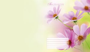 Full-page macro shot of pink cosmos flowers on a green-yellow gradient