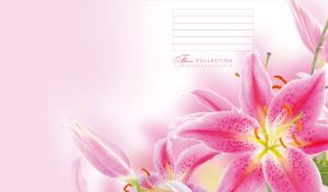 Full-page macro shot of pink tiger lilies on a white-pink gradient