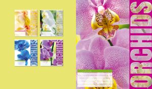 A close-up of fuchsia-pink orchids on a light yellow background