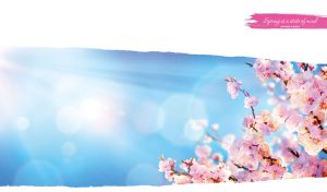 Spring is a State of Mind | Flower Close-Ups on Torn Paper Backdrops