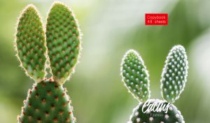 A pair of rabbit ear-shaped Opuntia cacti closeup on a pastel green gradient